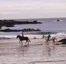Hores Riding in the Scottish Borders